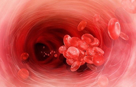 профилактика тромбоза