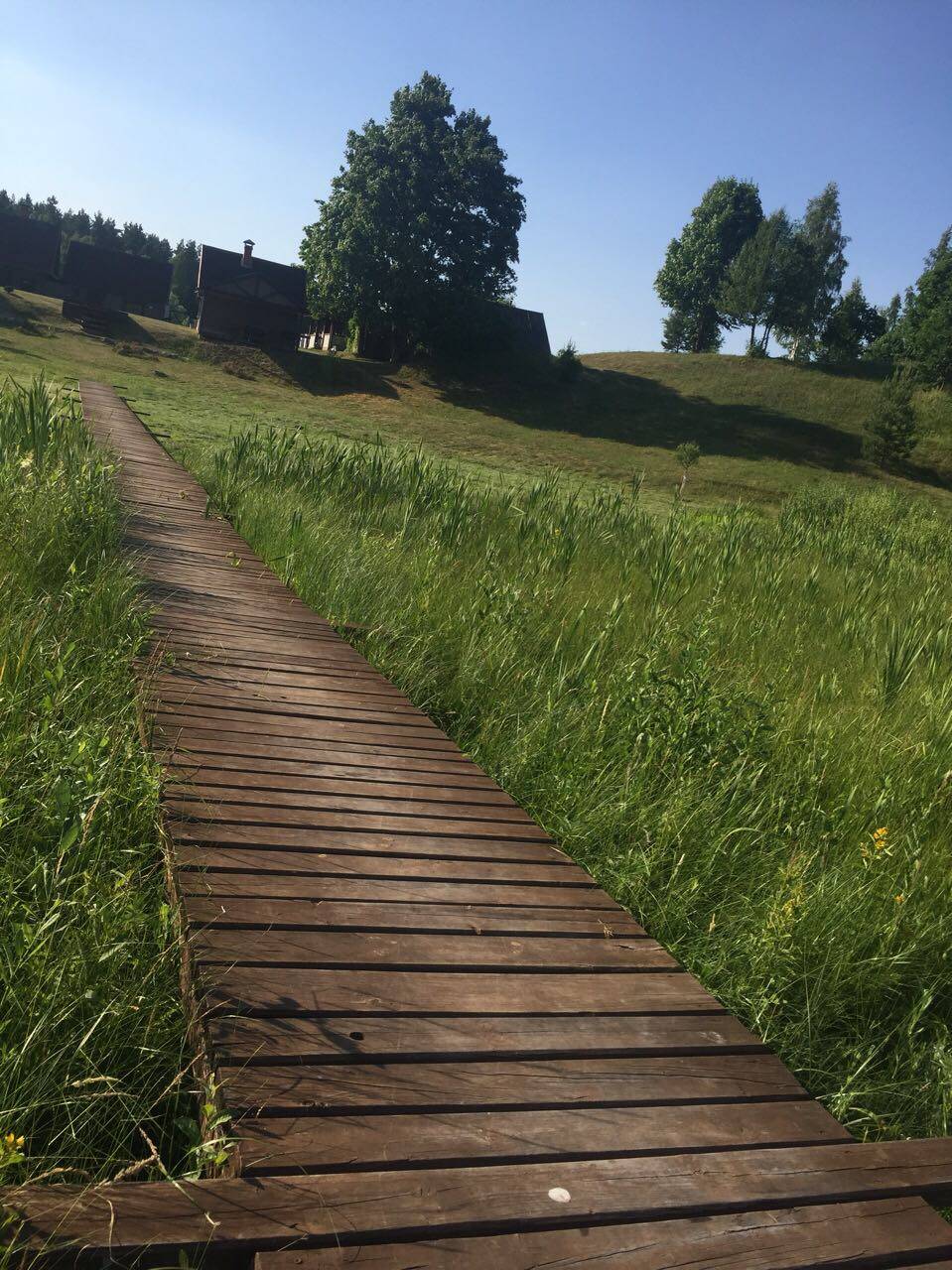 место силы 2018