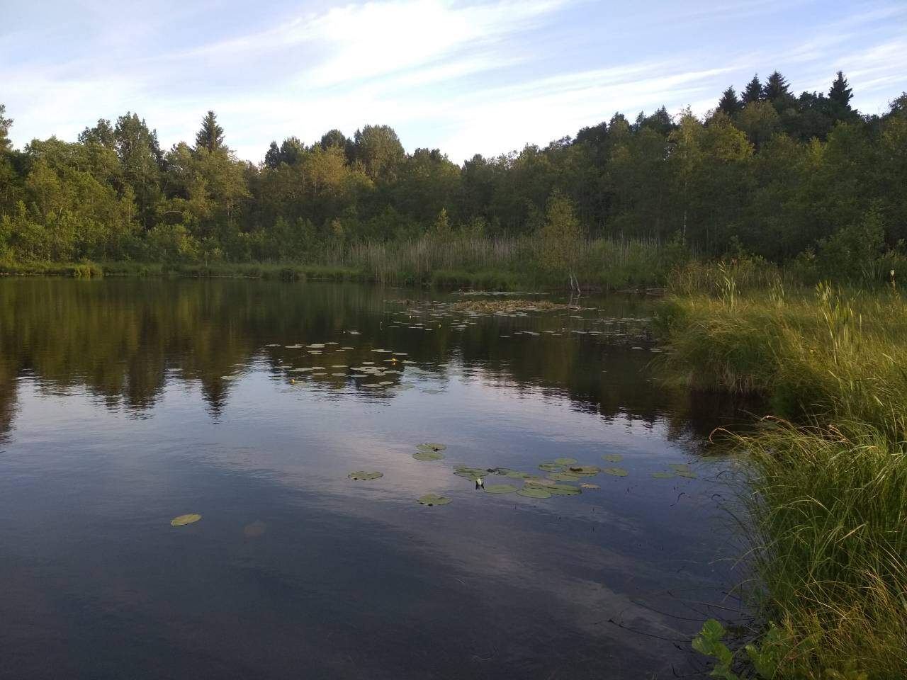 место силы 2018