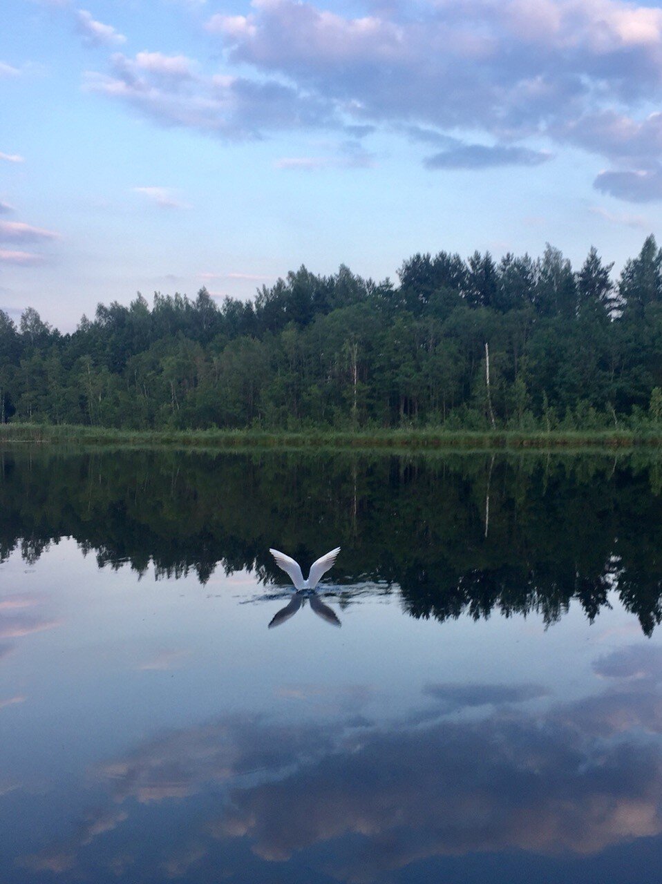 место силы 2018