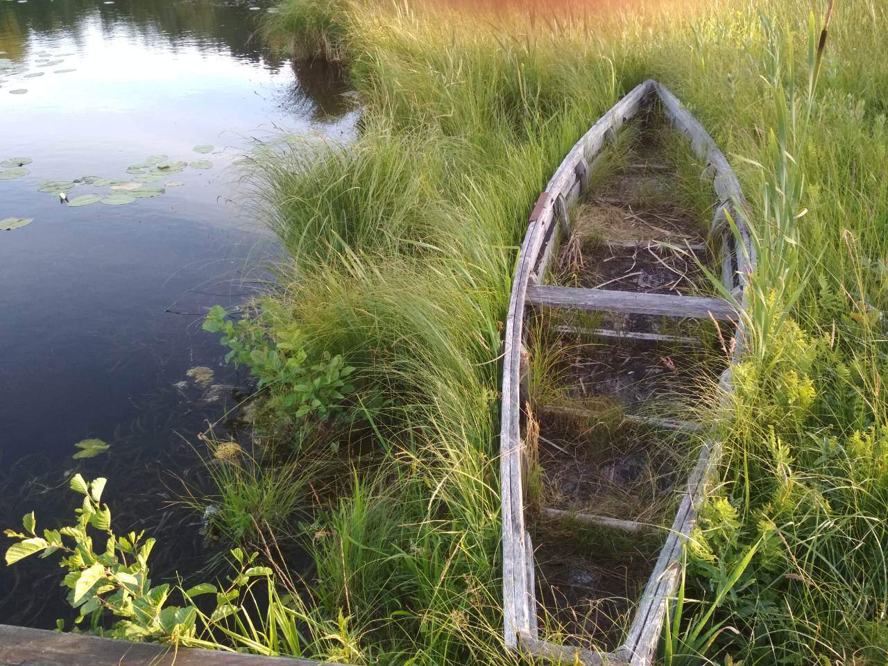 место силы 2018