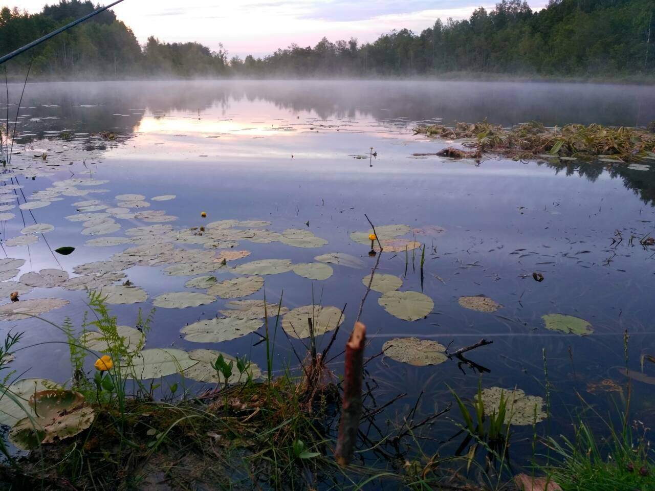 место силы 2018