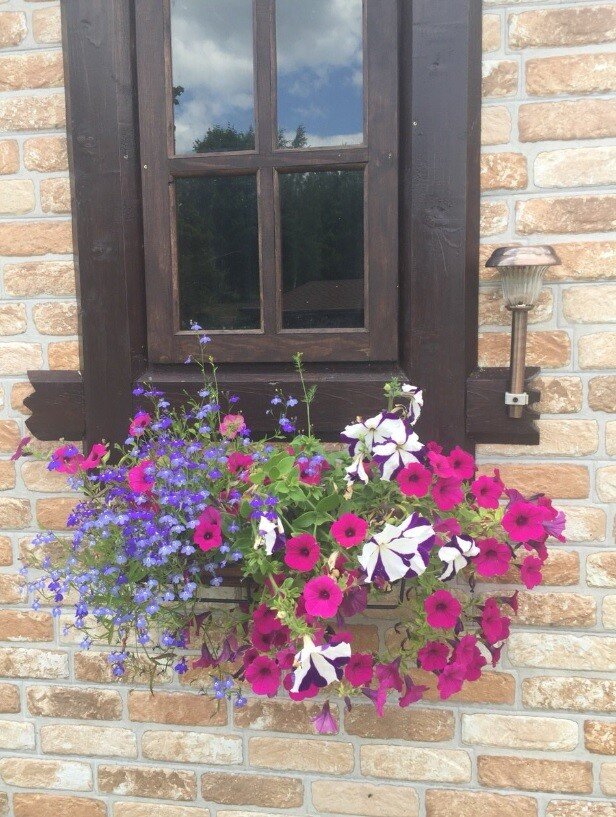 место силы 2018