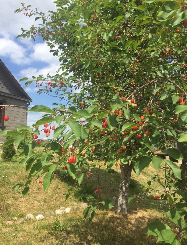 место силы 2018