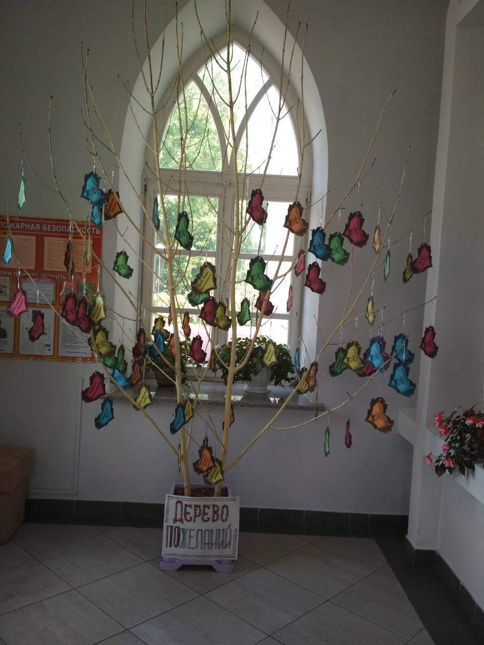 дерево желаний