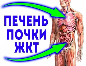 ПРОФИЛАКТИКА ОНКОЛОГИИ