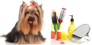 NSP для домашних животных