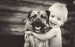 NSP для домашних животных