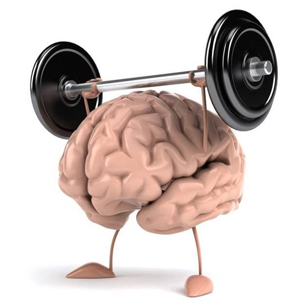 Улучшение работы мозга