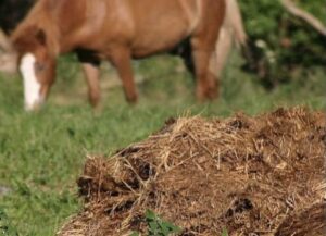 коллоидный минерал