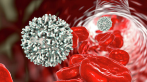 сильный иммунитет