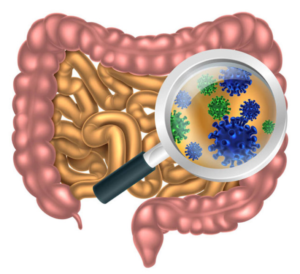 сильный иммунитет