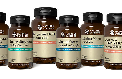 Ясная голова