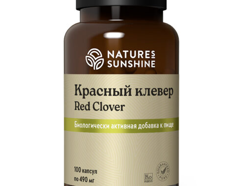 Крaсный клевер