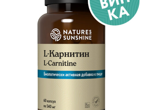 L-карнитин