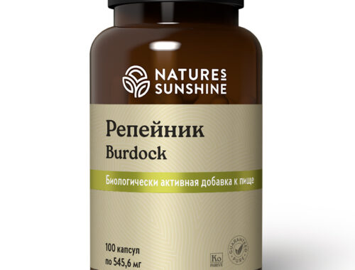 Репейник