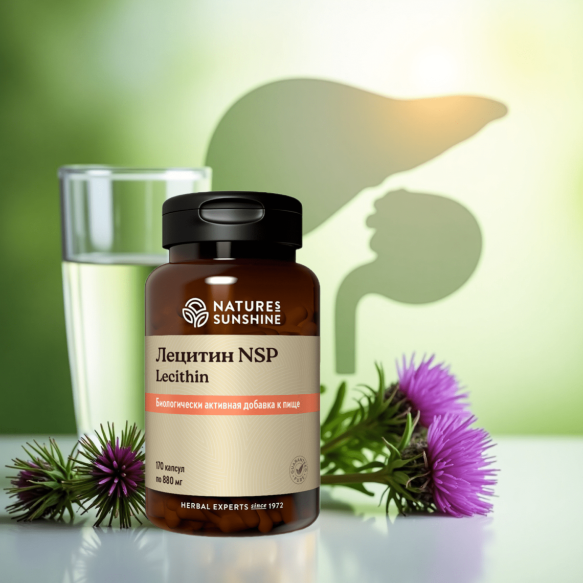 Баночка лецитина НСП, стакан хлорофилла, цветок росторопши, на фоне